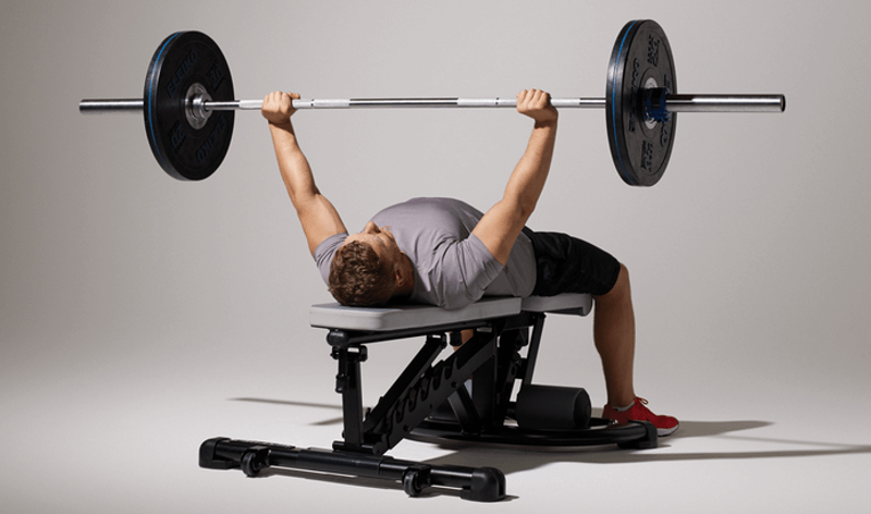 すべてのカタログ 愛されし者 腕立て伏せ ベンチプレス 換算