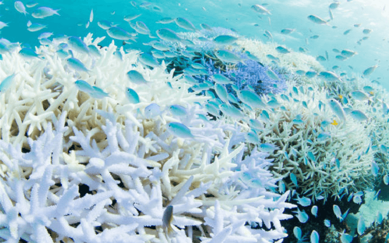 沖縄県は死んでも住みたくない最低な都道府県１位 理由は Okiresi オキレジ